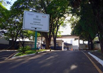 Vai à Ceasa? Veja os horários de funcionamento no fim de ano em Foz do Iguaçu