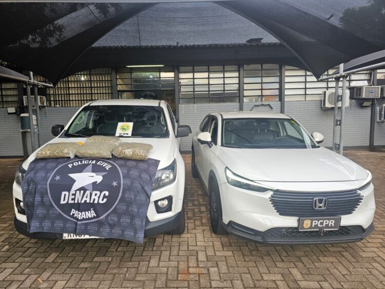 Ação integrada apreende quase 300 quilos de drogas na região