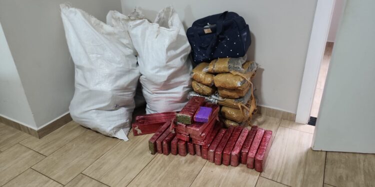 Denarc apreende 141 quilos de maconha armazenados em residência no Jardim Panorama