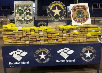 Receita Federal apreende quase 254 quilos de maconha na Ponte da Amizade
