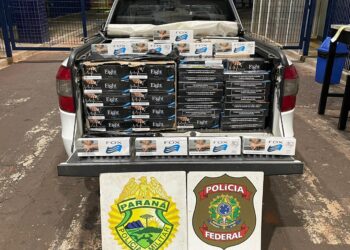 Carga de cigarros apreendida na região da Avenida Beira Rio. Foto: PF