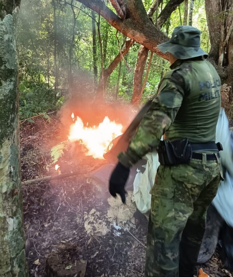 Operação destrói acampamento de caçadores no Parque Nacional do Iguaçu