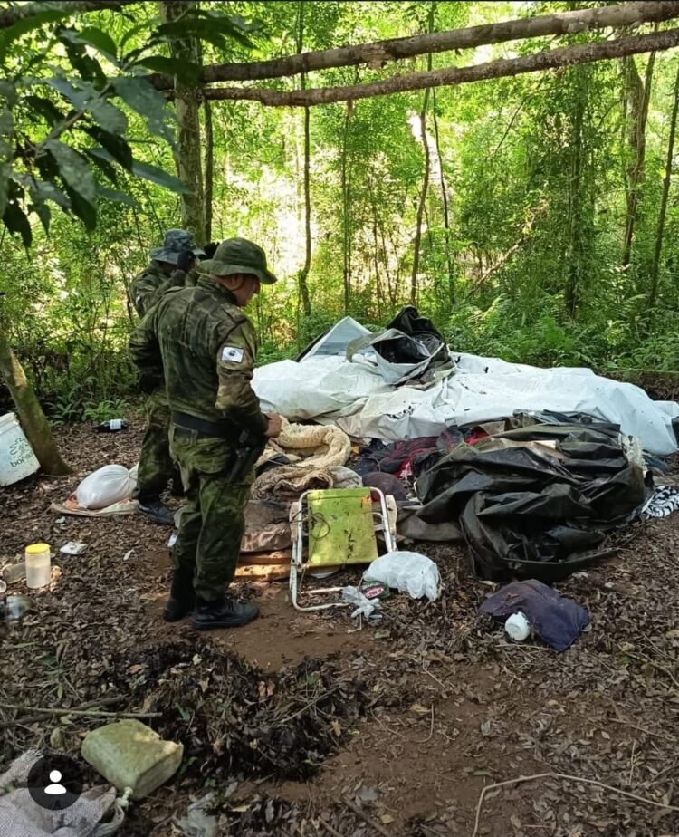 Operação destrói acampamento de caçadores no Parque Nacional do Iguaçu