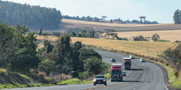 IPVA 2026 terá redução e desconto à vista; economia pode chegar a 49%