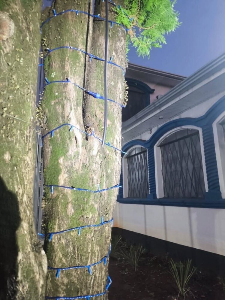 Homem é preso após furtar fios da decoração natalina na Praça do Mitre