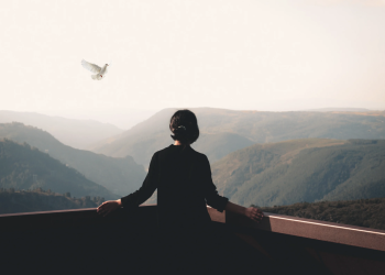 27 de janeiro: lembrar para não repetir jamais