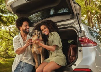 Comece o ano no verde: estratégias para manter o saldo positivo em 2026