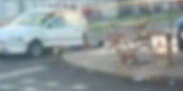 Homem morre após ser baleado em frente a bar na Vila Borges