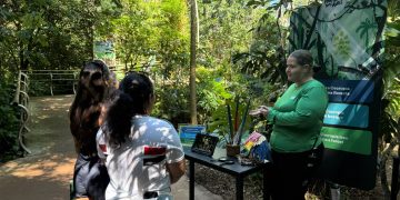 Parque das Aves promove última edição da vivência “Conhecendo as Aves” nas férias de janeiro