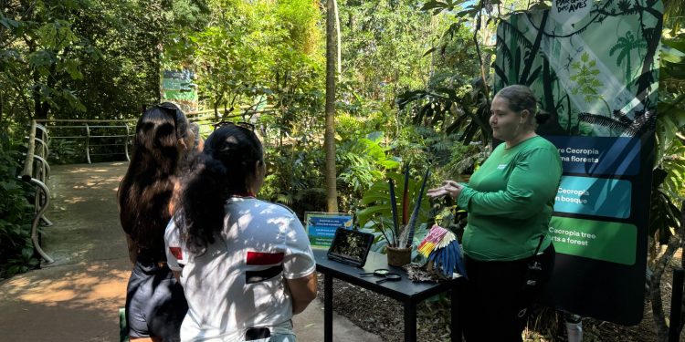 Parque das Aves promove última edição da vivência “Conhecendo as Aves” nas férias de janeiro