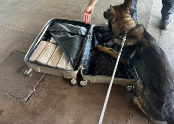 Passageira é presa com maconha na Rodoviária Internacional de Foz do Iguaçu