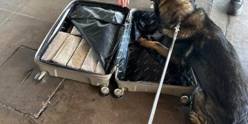 Passageira é presa com maconha na Rodoviária Internacional de Foz do Iguaçu