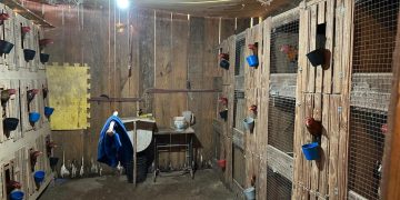 Crimes dentro do Parque Nacional do Iguaçu levam PF a deflagrar operação no PR e SC