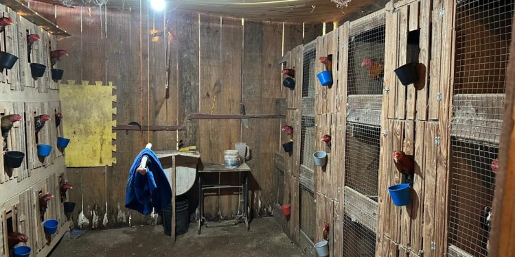 Crimes dentro do Parque Nacional do Iguaçu levam PF a deflagrar operação no PR e SC