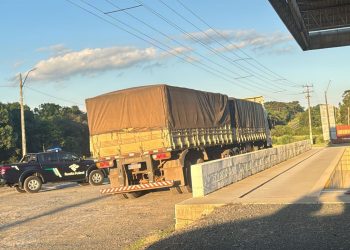 Carga milionária: caminhão que saiu da fronteira é interceptado com 2,3 toneladas de maconha