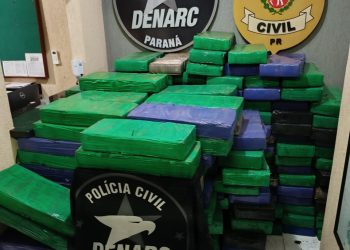 DENARC de Foz do Iguaçu apreende cerca de 2,5 toneladas de drogas em área rural de Itaipulândia