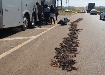 Fiscalização da PRF na BR-277 resulta em apreensão de cabelos estrangeiros e medicamento