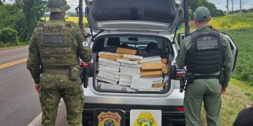 Polícia apreende mais de 660 quilos de drogas na BR-277