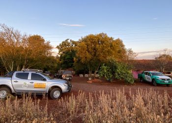 PF deflagra operação contra caça ilegal no Parque Nacional do Iguaçu