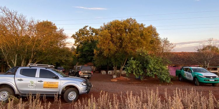PF deflagra operação contra caça ilegal no Parque Nacional do Iguaçu