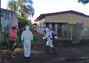 Foz do Iguaçu concentra maior número de notificações de dengue do Paraná em 2026