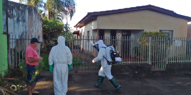 Foz do Iguaçu concentra maior número de notificações de dengue do Paraná em 2026