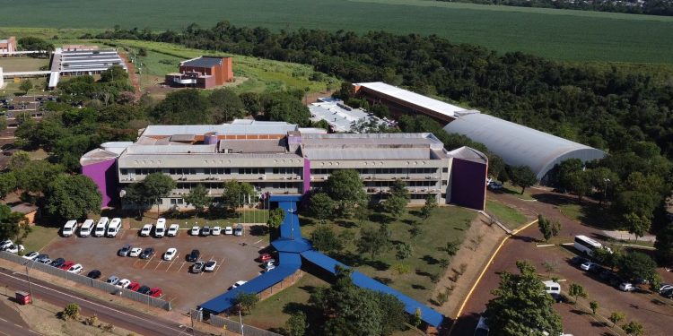 Em entrevista, pró-reitora da UNILA anuncia 330 vagas em cursos de especialização gratuitos