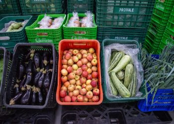 Leite e hortaliças puxam queda de preços de alimentos em Foz do Iguaçu em dezembro