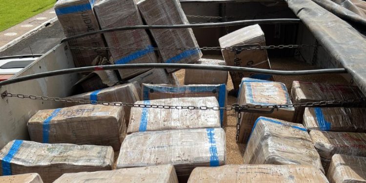 PF prende motorista com 3,3 toneladas de maconha na BR-277