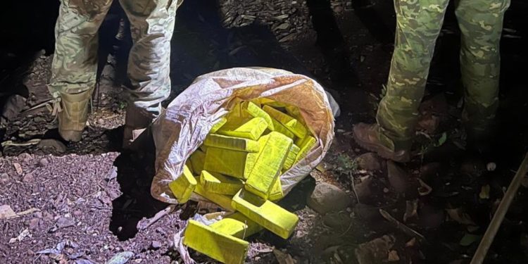 Polícia apreendem mais de 43 kg de maconha às margens do Rio Paraná