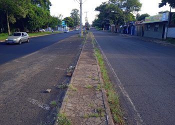 Veja como está o andamento das obras de recapeamento da Avenida Mário Filho