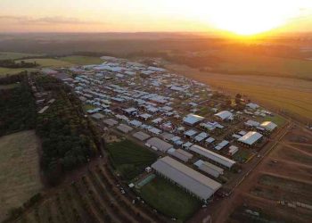 Show Rural Coopavel abre as portas e transforma Cascavel na capital do agro