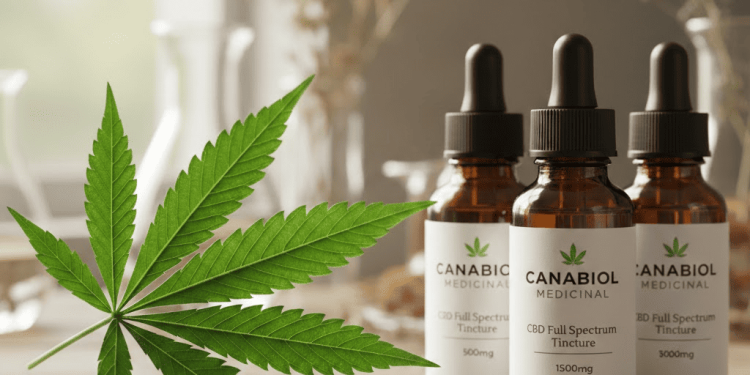 No Bico do Corvo com a ciência na pauta, justiça na escola e o xadrez de 2026