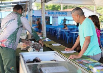 Prefeitura abre credenciamento para a XIX Feira Municipal do Peixe de Foz do Iguaçu