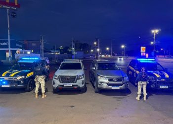 Caminhão cegonha é abordado na BR-277 e PRF encontra veículos furtados