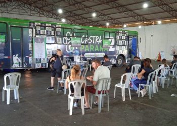 Castra Mais Paraná 2 leva atendimento gratuito para animais em Foz do Iguaçu