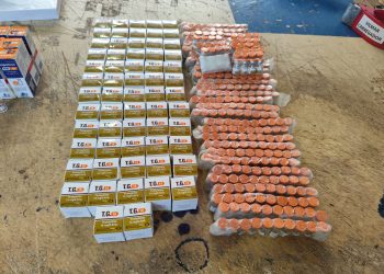 Fiscalização intercepta carga ilegal de emagrecedores em ônibus interestadual