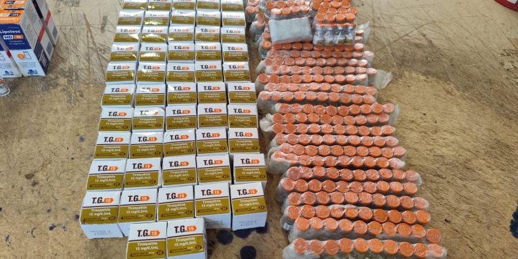 Fiscalização intercepta carga ilegal de emagrecedores em ônibus interestadual