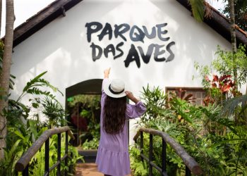 Parque das Aves fecha Carnaval com alta de 5% na visitação