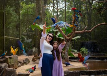 Parque das Aves confirma horário diário das 8h30 às 17h até julho