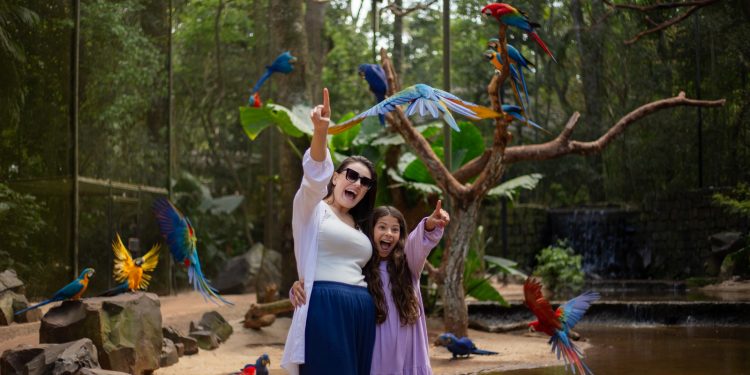 Parque das Aves confirma horário diário das 8h30 às 17h até julho