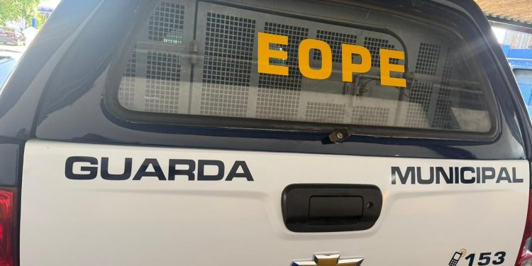 Grupo EOPE da GM flagra plantação de maconha no bairro Vale do Sol