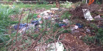 Pontos de descarte irregular de lixo se repetem em Foz e viram problema crônico