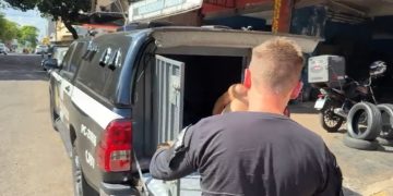 Homem é preso pelo GDE na Vila Portes