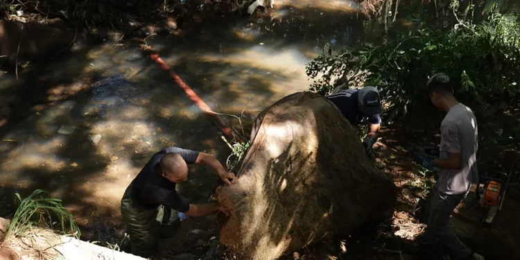 Sanepar realiza limpeza do Rio Boicy em Foz para marcar o Dia Mundial da Água