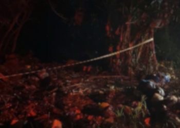 Corpo é encontrado carbonizado e esquartejado no Bubas