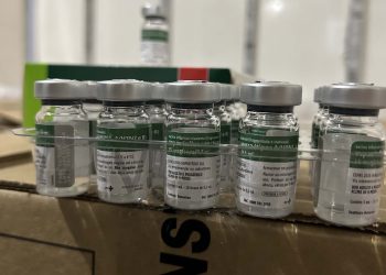 Paraná recebe 332 mil doses de vacina contra a gripe e inicia distribuição na segunda-feira (23)