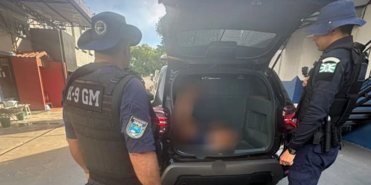 GM prende foragido por tráfico durante ação da equipe K9 na Praça da Bíblia