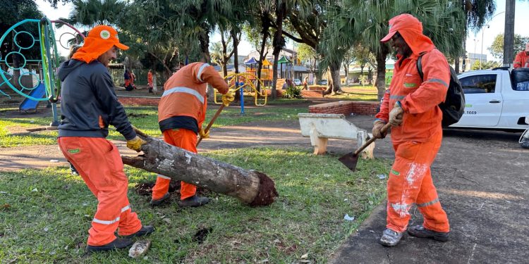 Morumbi recebe força-tarefa de combate à dengue com ações de prevenção e serviços à comunidade