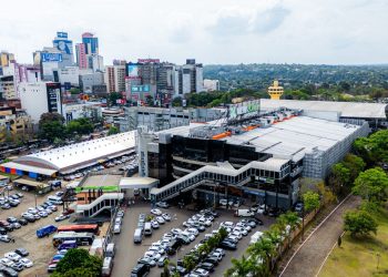 New Zone Importados promove Expo Medicina com foco em carreiras na saúde